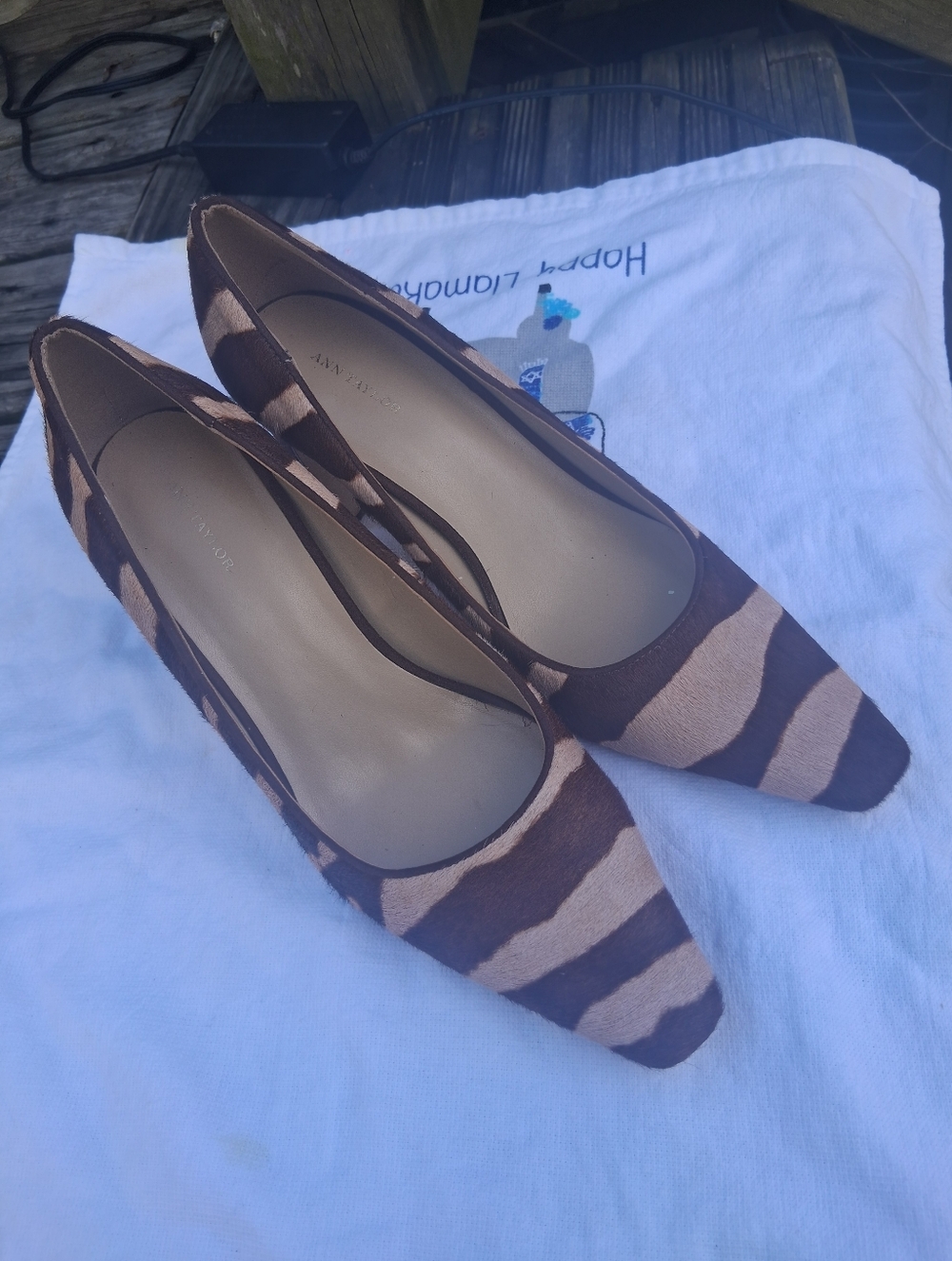 Pointed-Toe Women's Heels in Brown Zebra Print